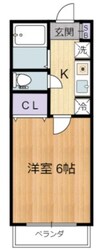 エステート国領の物件間取画像